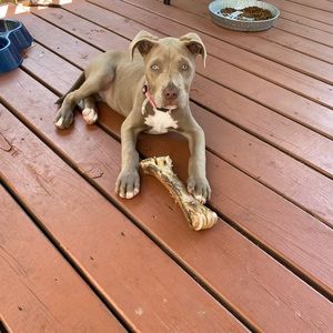 Meet your Posher, Alejandro